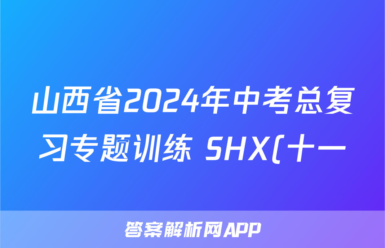 山西省2024年中考总复习专题训练 SHX(十一)11英语试题